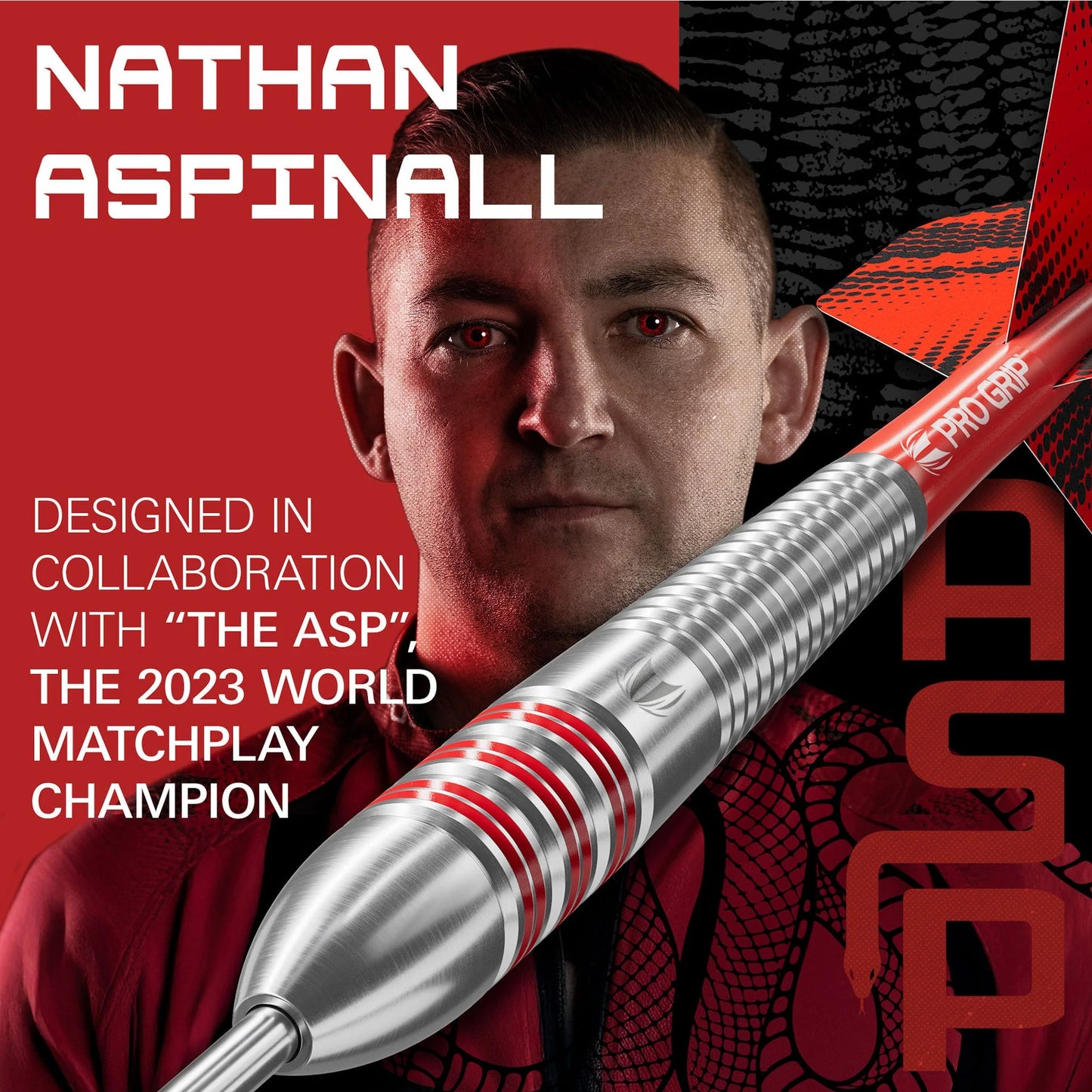Target Nathan Aspinall The ASP 22 Piece Dart Set