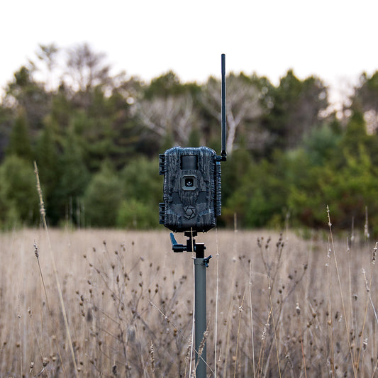 Stealth Cam Fusion Max 2.0 Cellular Trail Camera - Maltby Sports