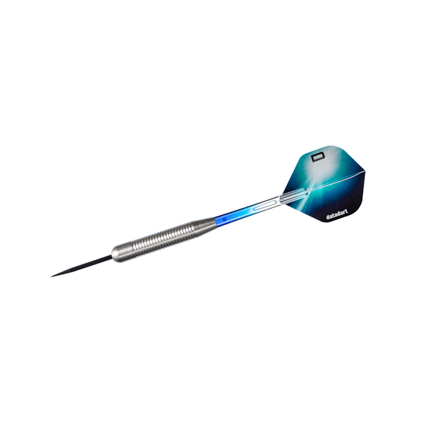 Datadart Pessant Dart Set