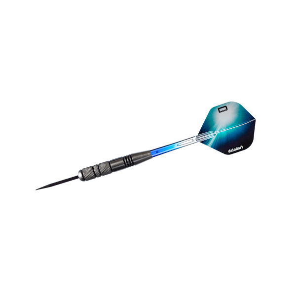 Datadart Pessant Dart Set