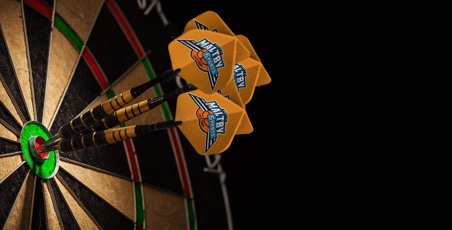 Dart Case