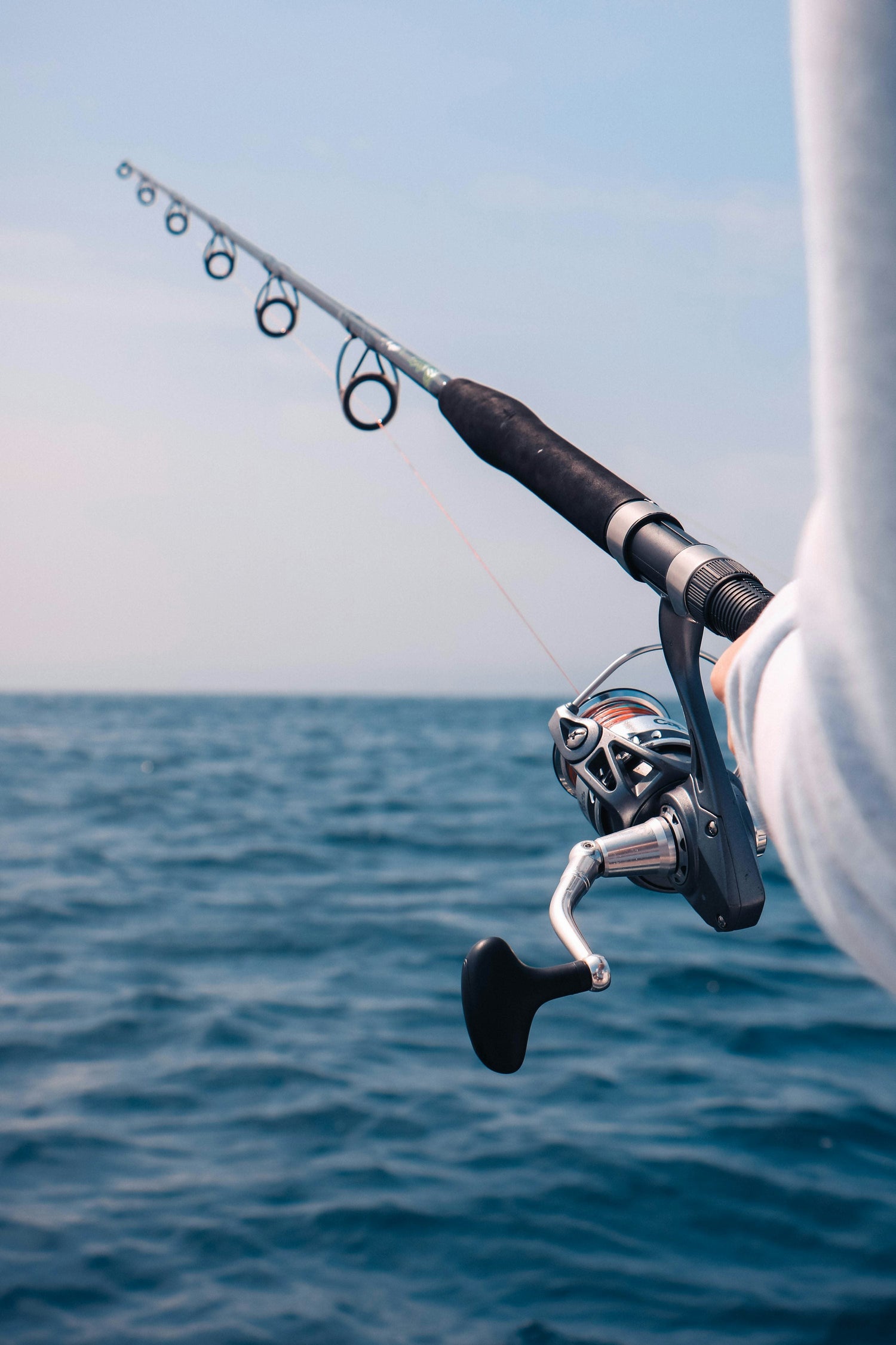 Striped Bass Rigs