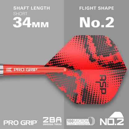 Target Nathan Aspinall The ASP 22 Piece Dart Set