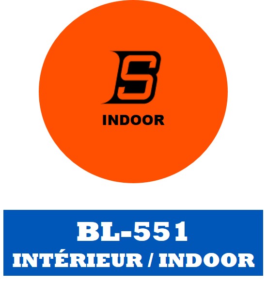 Blue Sports Indoor Orange Ball Hockey Ball