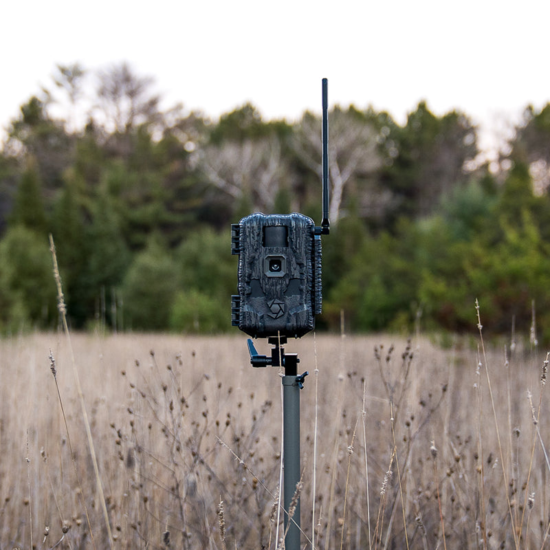 Stealth Cam Fusion Max 2.0 Cellular Trail Camera - Maltby Sports