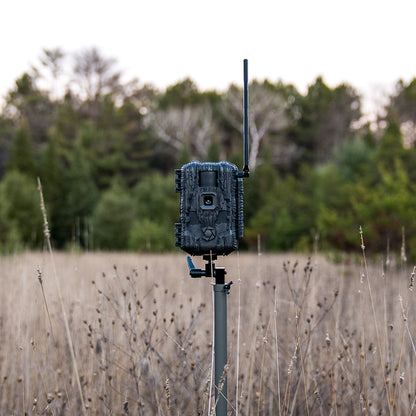 Stealth Cam Fusion Max 2.0 Cellular Trail Camera - Maltby Sports