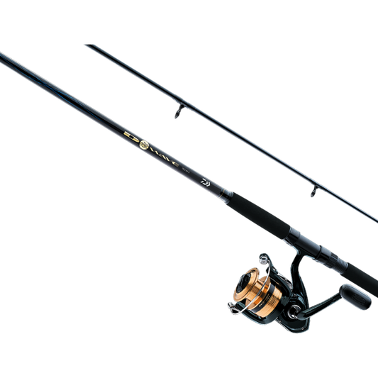 Daiwa D-Wave 8' Spinning Combo - Maltby Sports