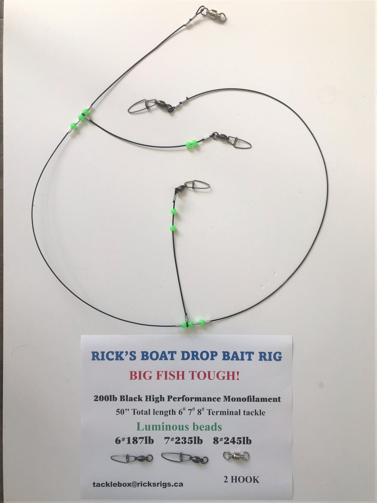 Ricks Bass Rigs