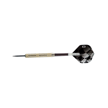 Datadart Grand Prix Darts