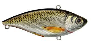 Golden Shiner Rattlebait