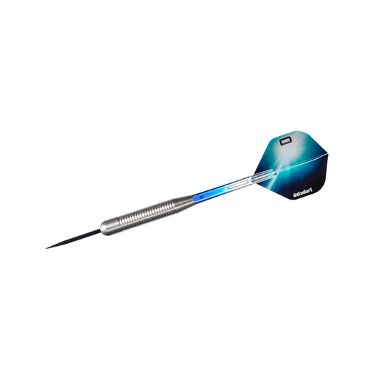 Datadart Pessant Dart Set